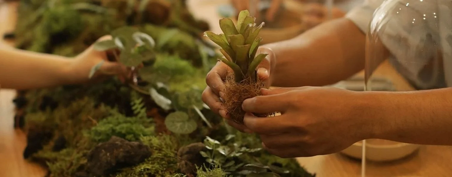 Plant Care