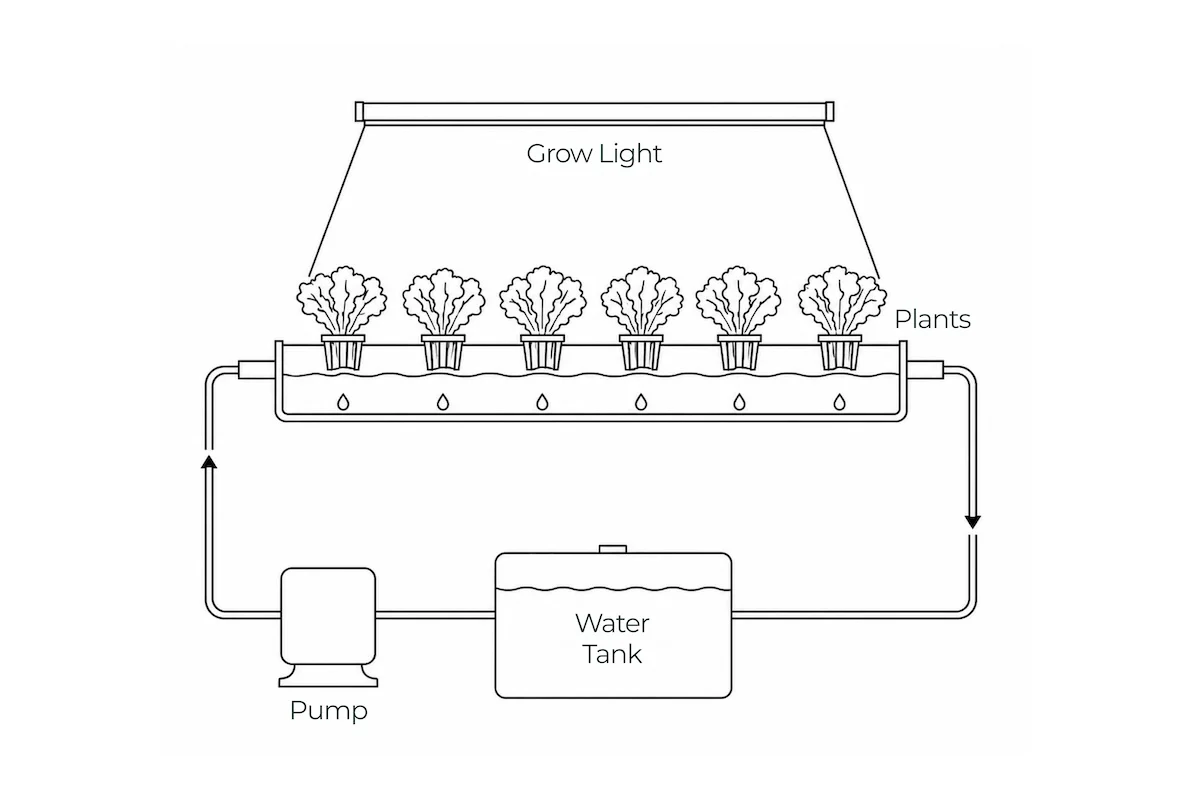 Nutripod variant