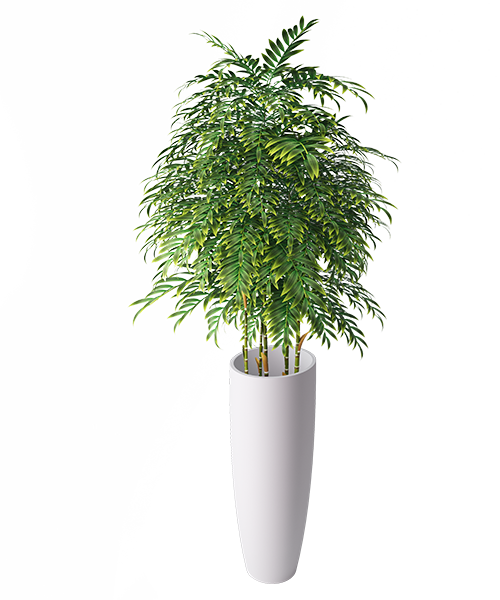 eclipse plant transparent - Gamlaa