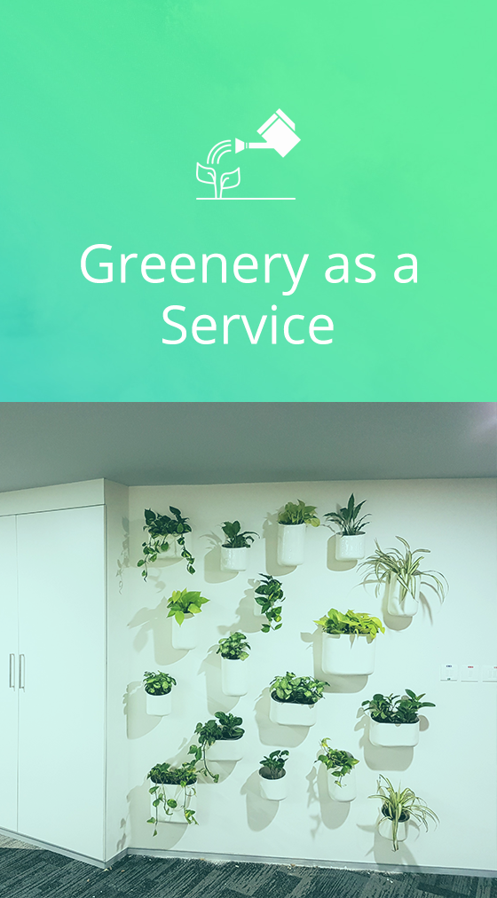 greenery-as-a-service