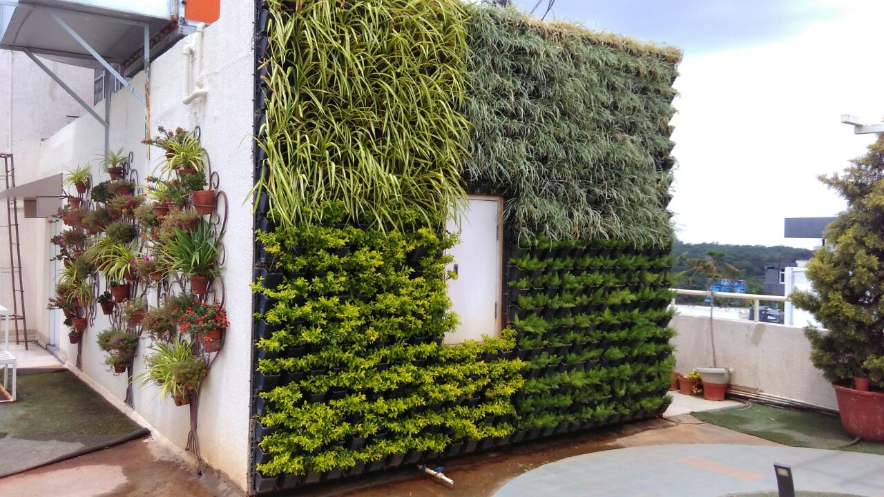 green-walls-by-gamlaa